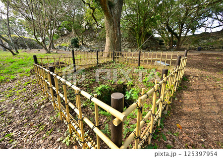 豊臣秀吉が朝鮮出兵のために築いた「名護屋城」の現在の様子 125397954