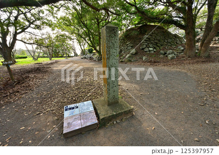 豊臣秀吉が朝鮮出兵のために築いた「名護屋城」の現在の様子 豊臣秀吉が朝鮮出兵のために築いた「名護屋城」の現在の様子 125397957