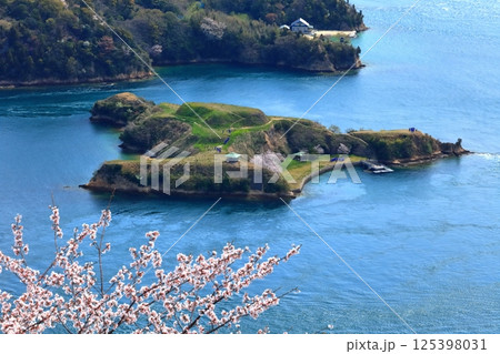 【愛媛県】桜咲く春のカレイ山展望公園から見た（能島と鵜島） 125398031