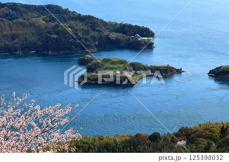 【愛媛県】桜咲く春のカレイ山展望公園から見た（能島と鵜島） 125398032