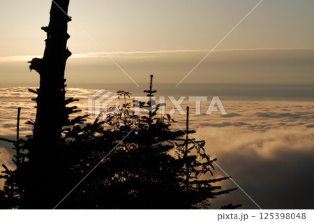 早朝の長野県支部藤賀から見た雲海を見る。太陽が昇り始めた。 早朝の長野県支部藤賀から見た雲海を見る。太陽が昇り始めた。 125398048
