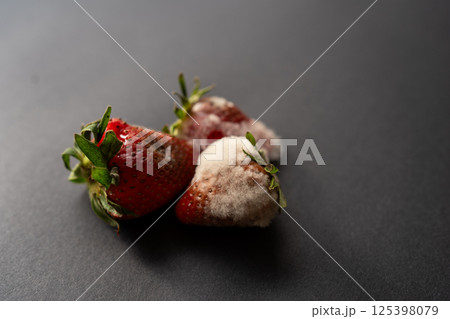 Rotten strawberries with large white fungal mold on black background. 125398079