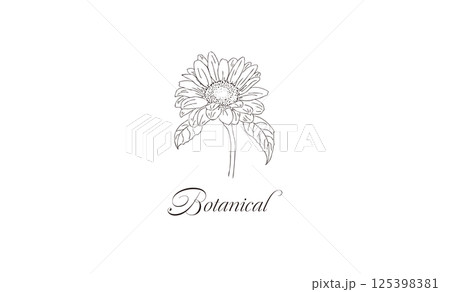 花ボタニカル線画イラスト素材　レトロひまわり手書き　名刺サイズ　shopカード 125398381