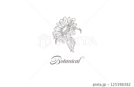 白黒カラー手書き線画の花イラスト素材　名刺サイズ　レトロひまわり　ボタニカル　png 125398382