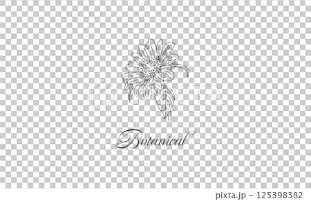 白黒カラー手書き線画の花イラスト素材　名刺サイズ　レトロひまわり　ボタニカル　png 125398382