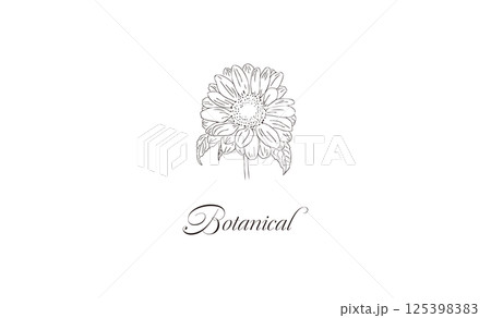 ひまわりレトロ手書き線画の花イラスト素材　名刺サイズ　メッセージカード 125398383