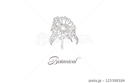 シンプル手書き線画の花イラスト素材　レトロひまわり　名刺サイズ　ショップカード　メッセージ 125398384