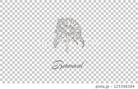 シンプル手書き線画の花イラスト素材　レトロひまわり　名刺サイズ　ショップカード　メッセージ 125398384