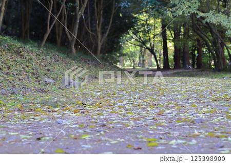 落葉に覆われた公園の小道 125398900