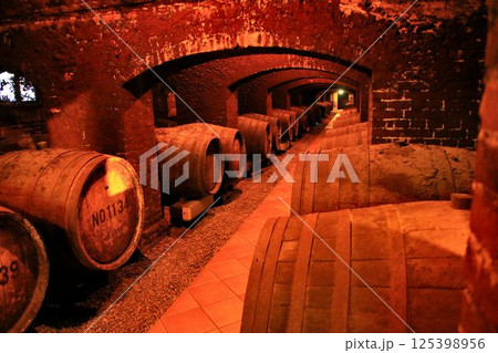 国産ブドウで醸造し始めた日本ワインの歴史を刻む… ワインセラー 125398956