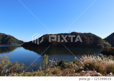 奥津湖とススキ 奥津湖とススキ 125399019