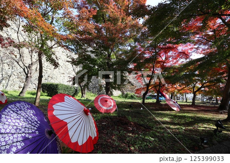 秋の紅葉と和傘 秋の紅葉と和傘 125399033