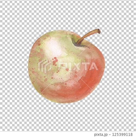 A red-green juicy apple with a peduncle is hand-drawn on a white background. The sweet fruit is isolated. Watercolor illustration. Botanical illustration. Clipart. A red-green juicy apple with a peduncle is hand-drawn on a white background. The sweet fruit is isolated. Watercolor illustration. Botanical illustration. Clipart. 125399118