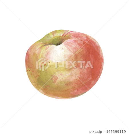 A watercolor red and yellow apple is hand-painted on a white background. Isolated. Clipart. Watercolor illustration. For any textile design, wallpaper, packaging. A watercolor red and yellow apple is hand-painted on a white background. Isolated. Clipart. Watercolor illustration. For any textile design, wallpaper, packaging. 125399119