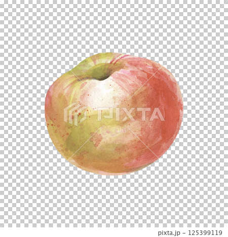 A watercolor red and yellow apple is hand-painted on a white background. Isolated. Clipart. Watercolor illustration. For any textile design, wallpaper, packaging. A watercolor red and yellow apple is hand-painted on a white background. Isolated. Clipart. Watercolor illustration. For any textile design, wallpaper, packaging. 125399119