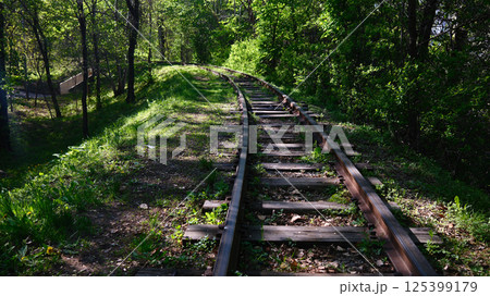 railway tracks cutting through lush green forest 125399179