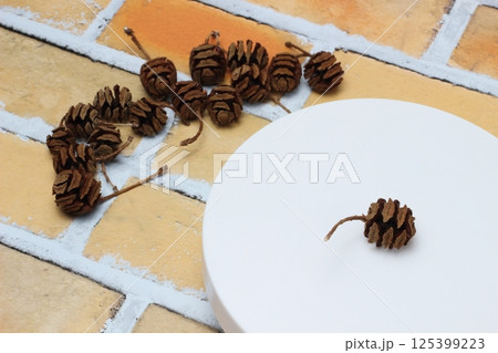 落葉の調べ、メタセコイアの枯れた実たち 125399223