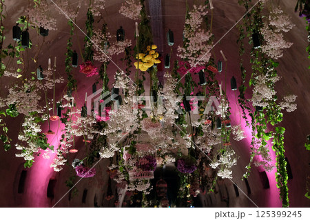 Flowers exposed on Floraart, 52 international garden exhibition in tunnel Gric in Zagreb 125399245