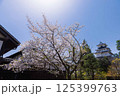 桜と掛川城 125399763