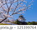 桜と掛川城 125399764