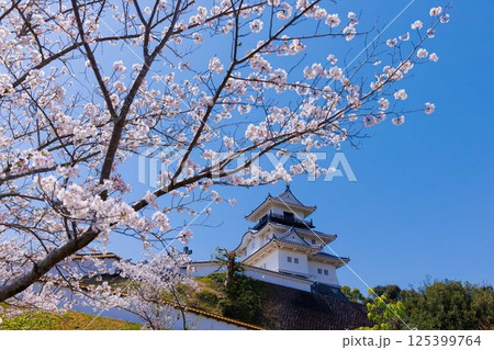 桜と掛川城 125399764