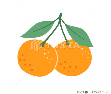 Tangerine with leaves, isolated food illustration, abstract fruit art isolated on white Tangerine with leaves, isolated food illustration, abstract fruit art isolated on white 125399898