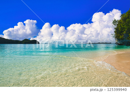 パラオの美しいサンゴ礁の海 パラオの美しいサンゴ礁の海 125399940