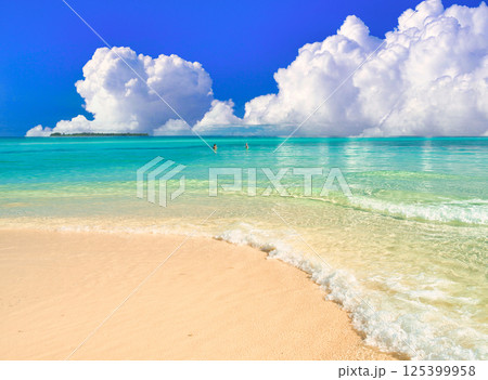 パラオの美しいサンゴ礁の海 パラオの美しいサンゴ礁の海 125399958