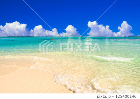 パラオの美しいサンゴ礁の海 パラオの美しいサンゴ礁の海 125400146