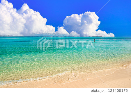 パラオの美しいサンゴ礁の海 パラオの美しいサンゴ礁の海 125400176