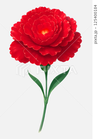 宝石のように輝く深紅のカーネーション 125400184