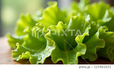 Fresh Green Lettuce with Water Droplets Close-up Fresh Green Lettuce with Water Droplets Close-up 125401031