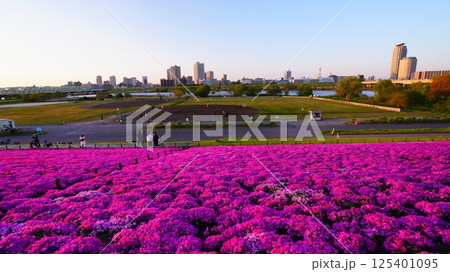 荒川河川敷から見た新荒川大橋緑地の風景 125401095