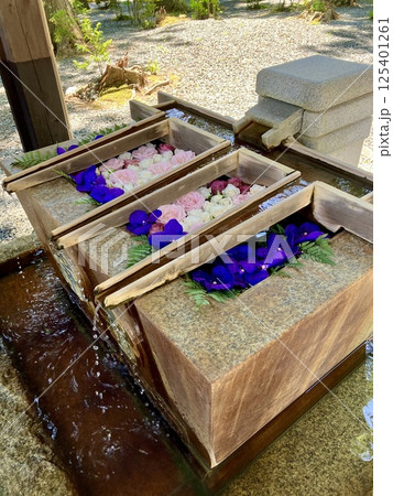 相馬太田神社の花手水 相馬太田神社の花手水 125401261