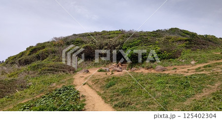 糸島の「トトロの森」【福岡】 糸島の「トトロの森」【福岡】 125402304
