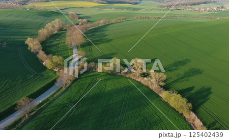 Green wavy hills with agricultural fields 125402439