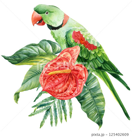 Watercolor green tropical parrot, red anthurium flower and exotic jungle leaves botanical rainforest bird illustration 125402609