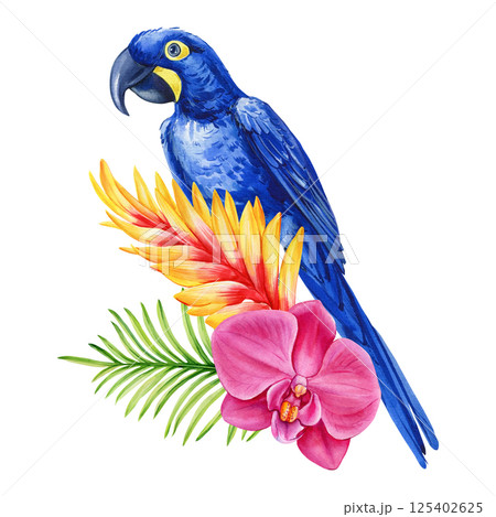 Watercolor blue parrot with tropical orchid flower and palm leaves isolated on white background, Exotic bird and flowers 125402625