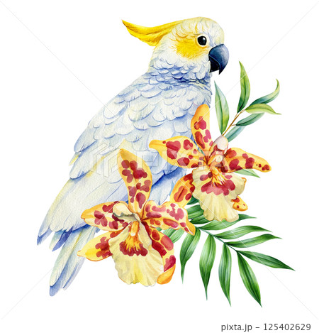 Watercolor white cockatoo parrot with spotted orchid flowers and tropical jungle leaves illustration exotic flora art 125402629