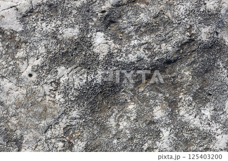 Dark Patterned Mineral Surface on Limestone Rock 125403200