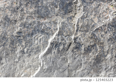 Natural Rock Surface with Subtle Color Variations 125403223