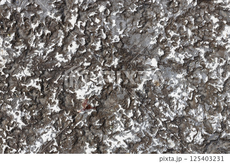 Dark Rock Surface with White Mineral Patches 125403231