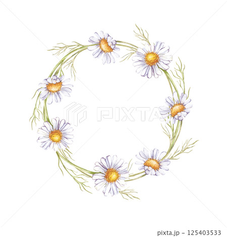 The watercolor round frame of daisies is hand-painted. Botanical illustration of a flower wreath on a white background. Wildflowers. Isolated. For the design of greetings, postcards, invitations and 125403533