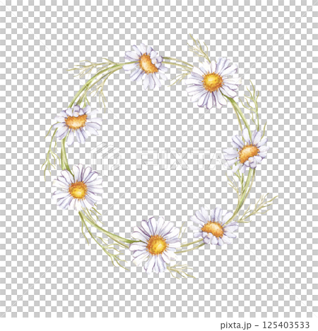 The watercolor round frame of daisies is hand-painted. Botanical illustration of a flower wreath on a white background. Wildflowers. Isolated. For the design of greetings, postcards, invitations and 125403533