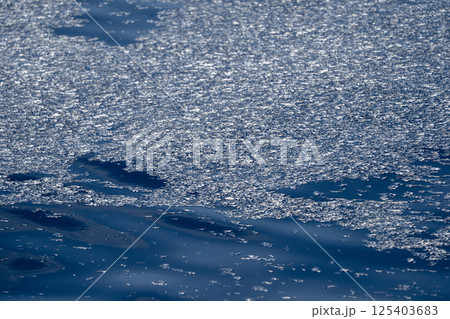 Thousand velella velalla by-the-wind-sailors are not true jellyfish, but hydroids 125403683