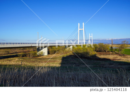 たっぷ大橋・斜張橋（2025年4月） 125404118