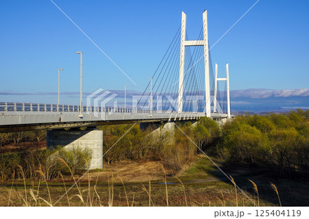 たっぷ大橋・斜張橋（2025年4月） 125404119