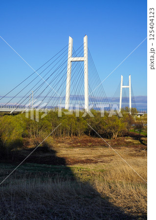 たっぷ大橋・斜張橋（2025年4月） 125404123