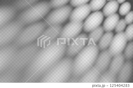 Abstract shadow overlay from foliage on a transparent background. 125404283