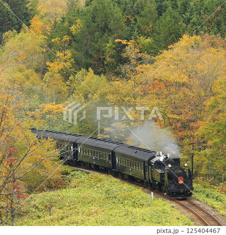紅葉の函館本線 紅葉の函館本線 125404467